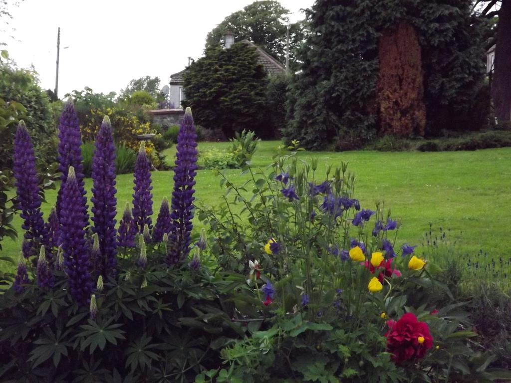 Hillcrest House Newton Stewart Eksteriør bilde